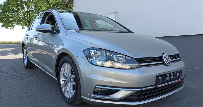 Volkswagen Golf cena 53900 przebieg: 73401, rok produkcji 2017 z Płock małe 781